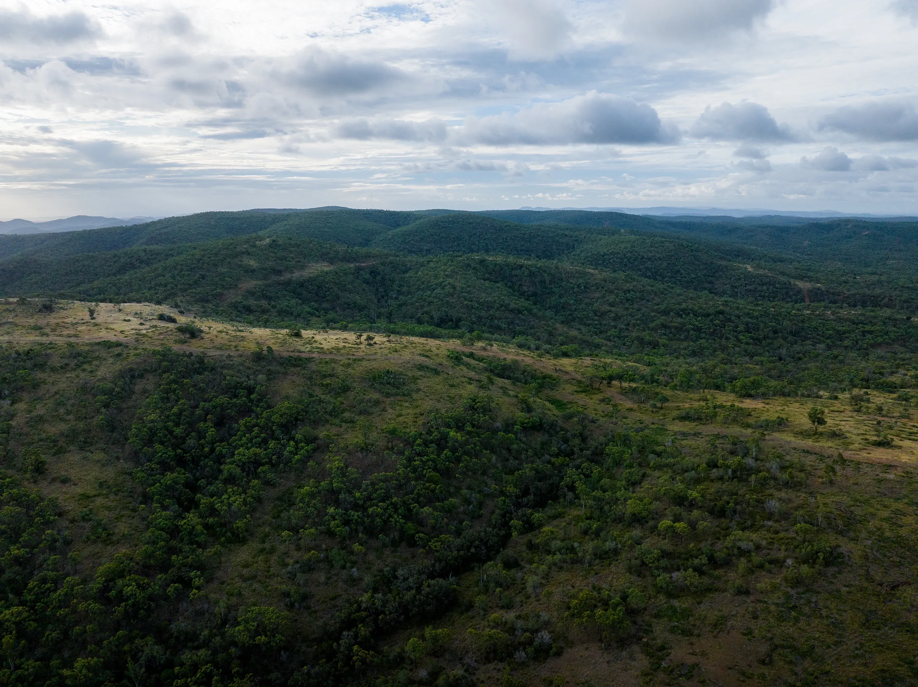 landscape image