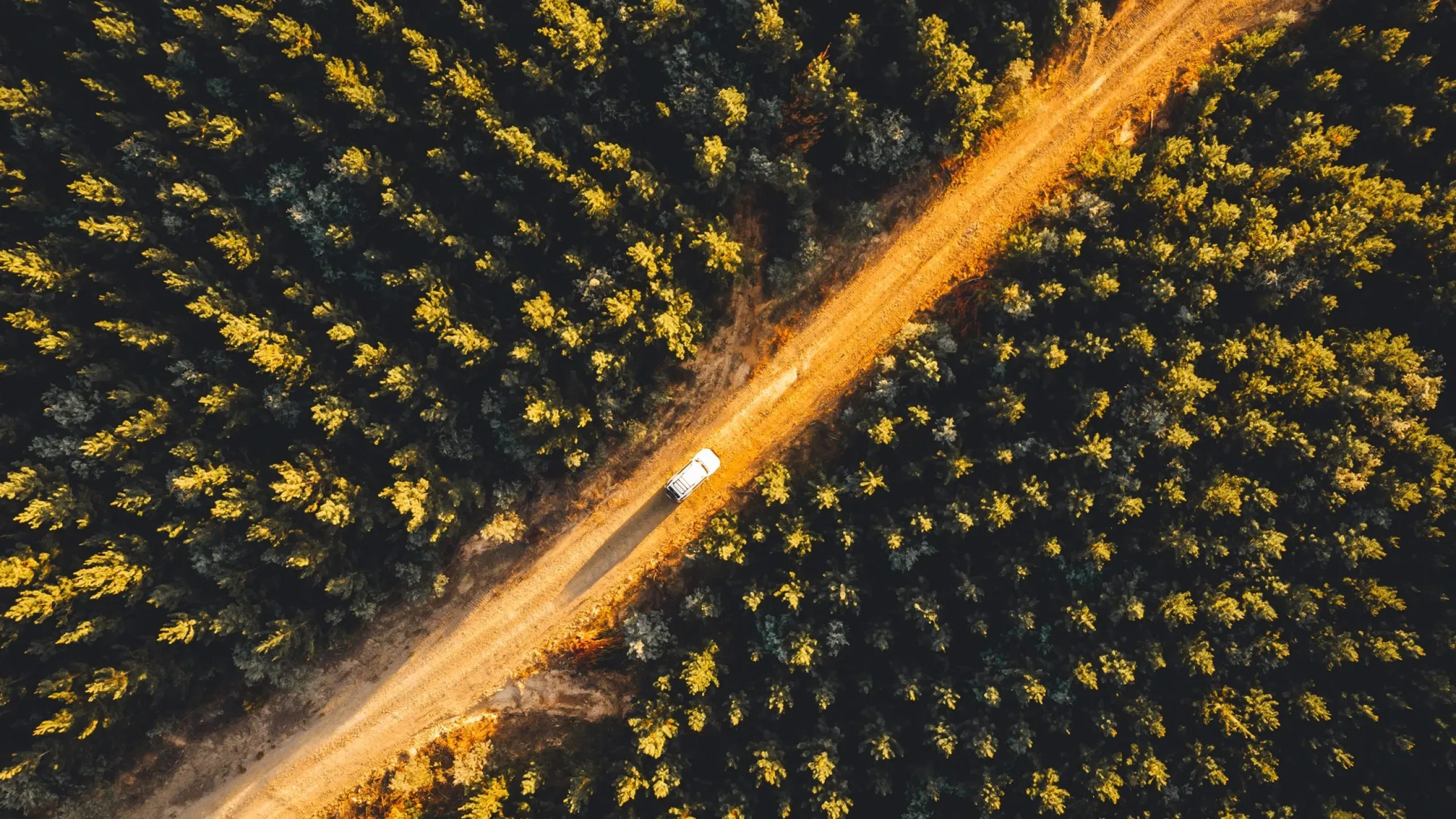 West Wyalong Community