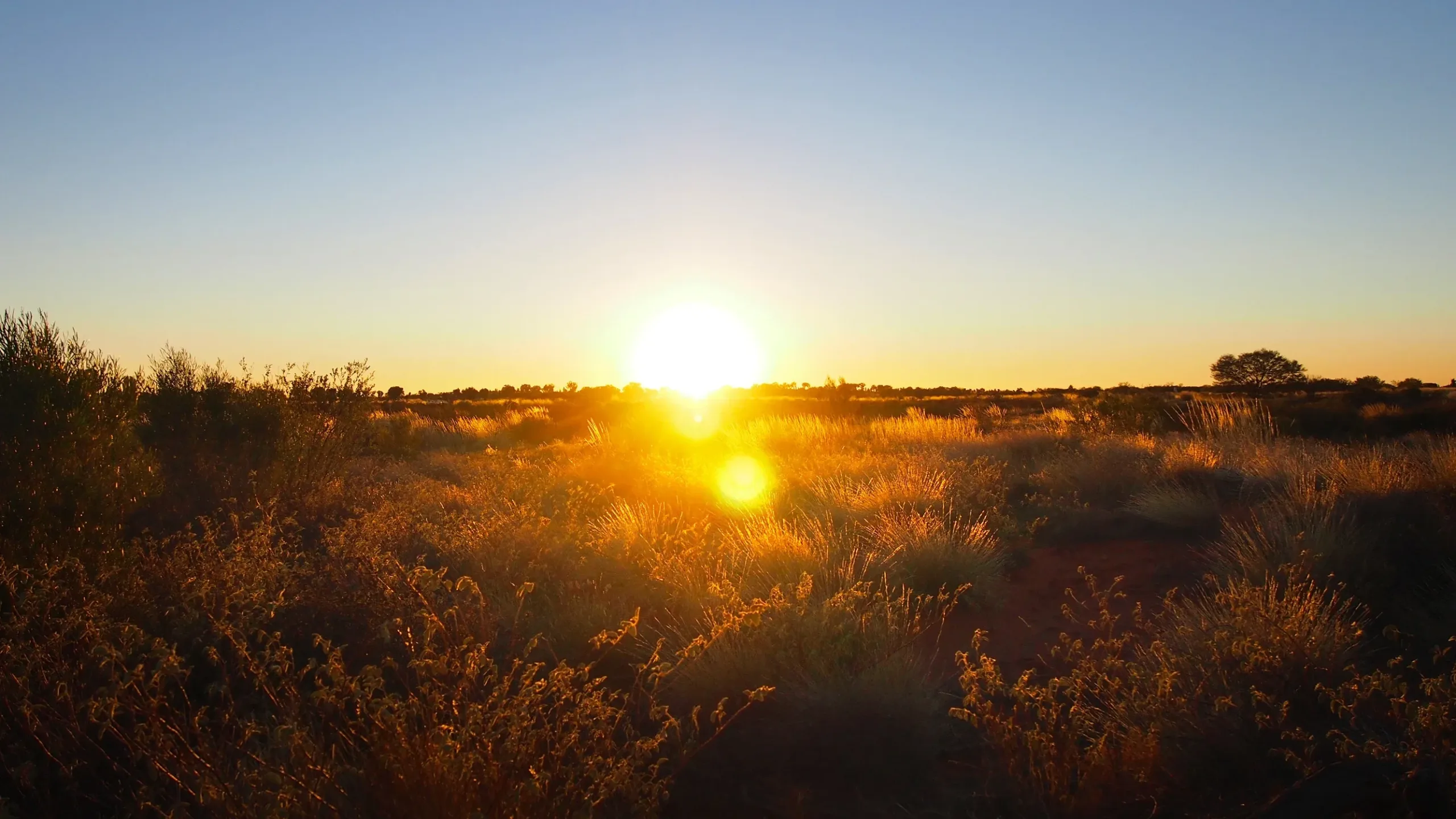 West Wyalong Traditional Owners