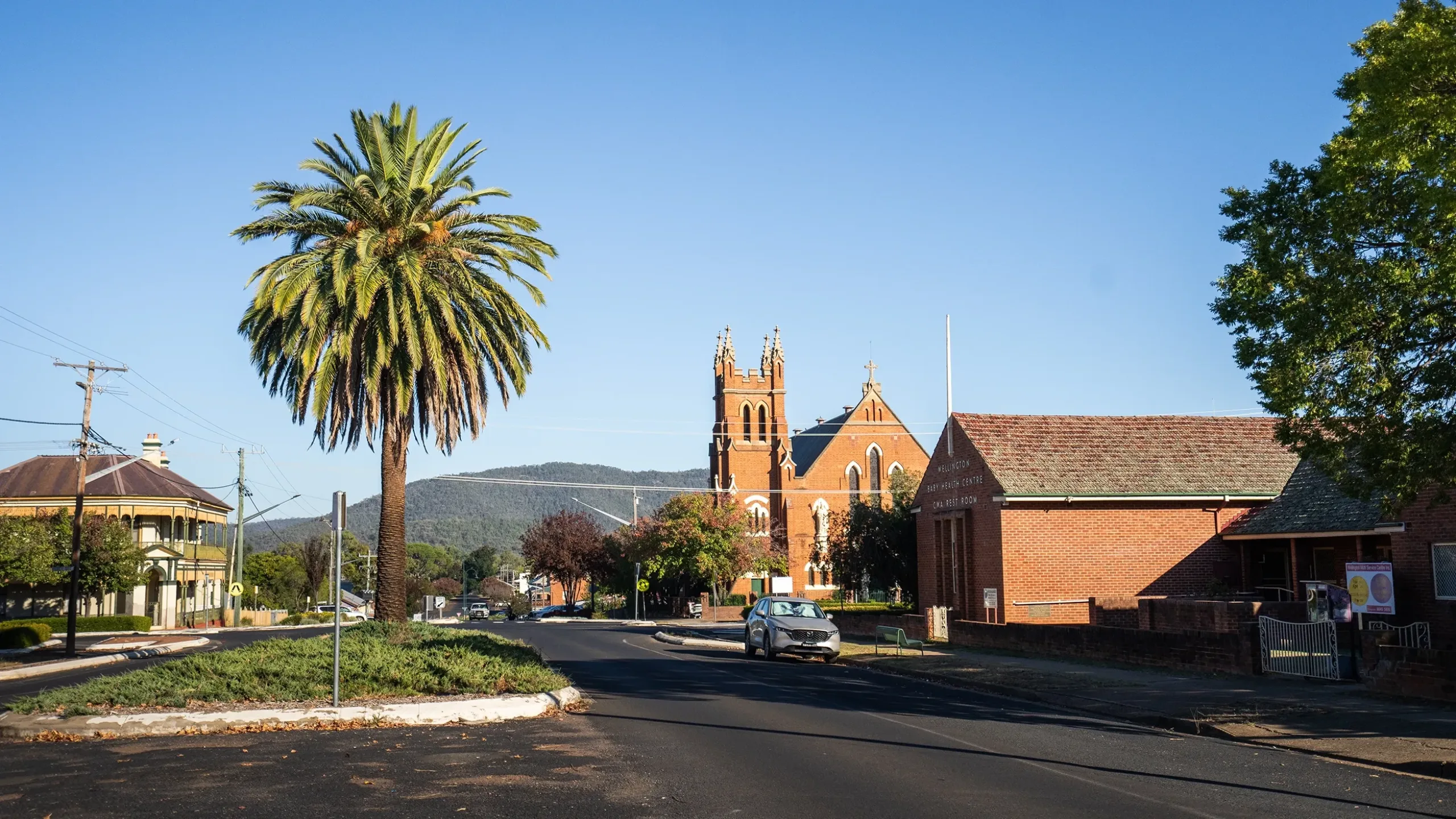 Wellington North Community
