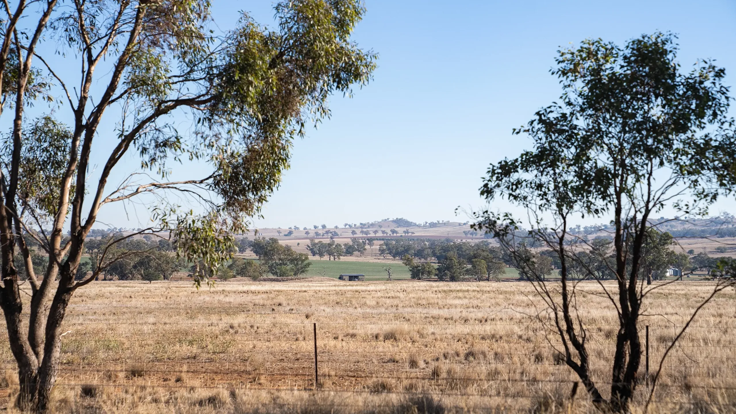 Wellington North Asset Overview