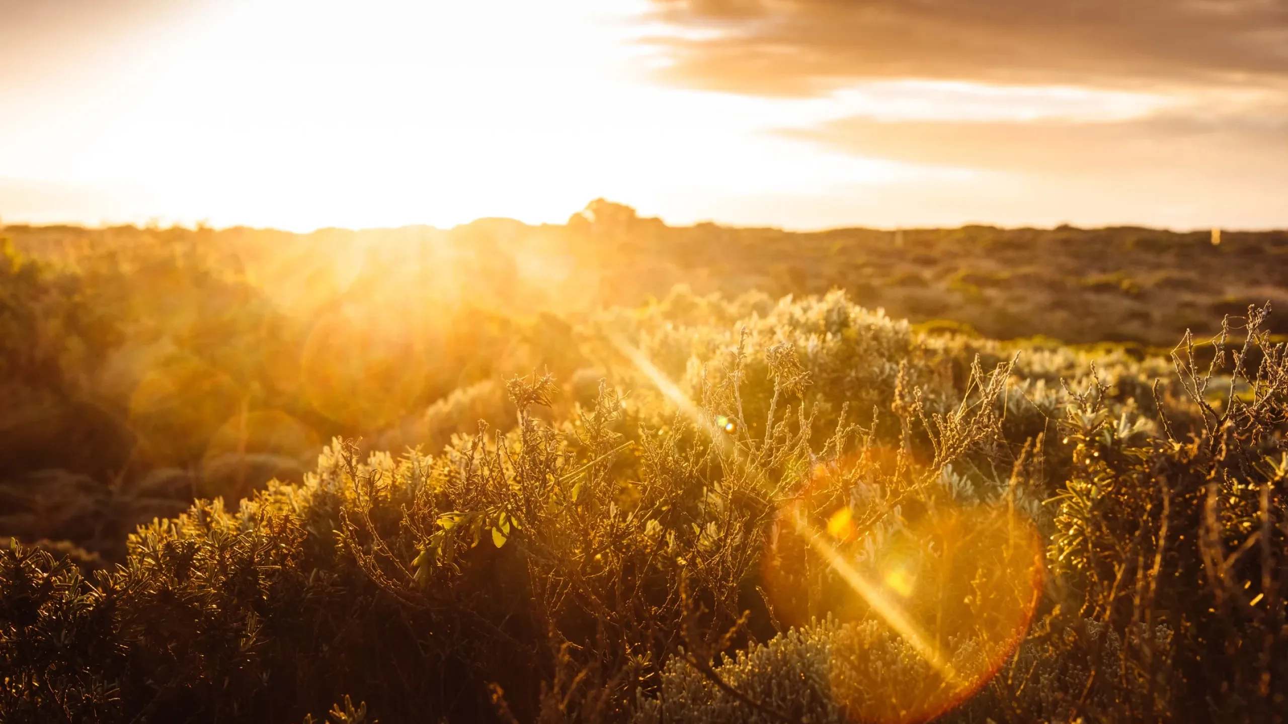 Wellington North Map