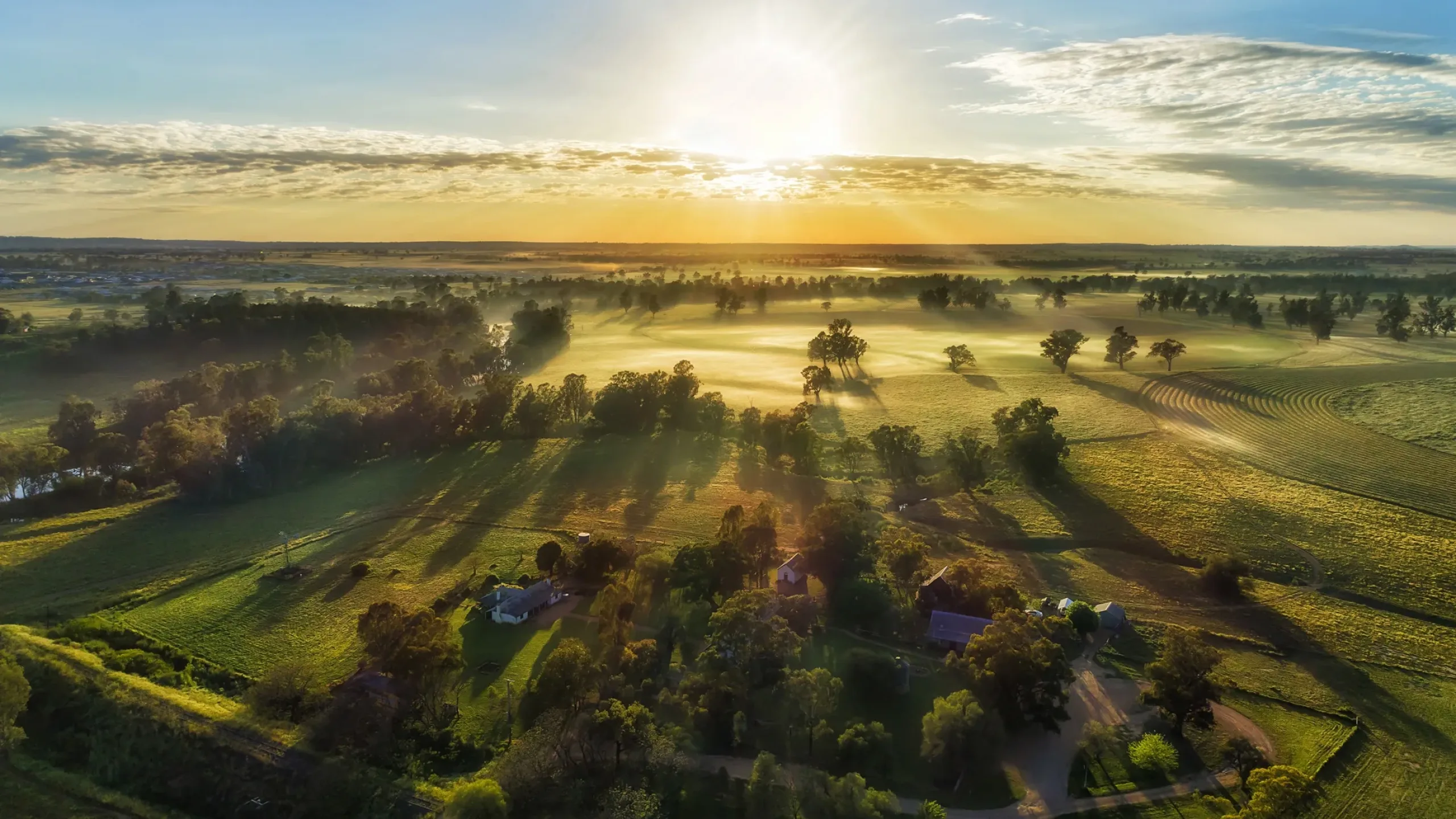 Wellington North Updates