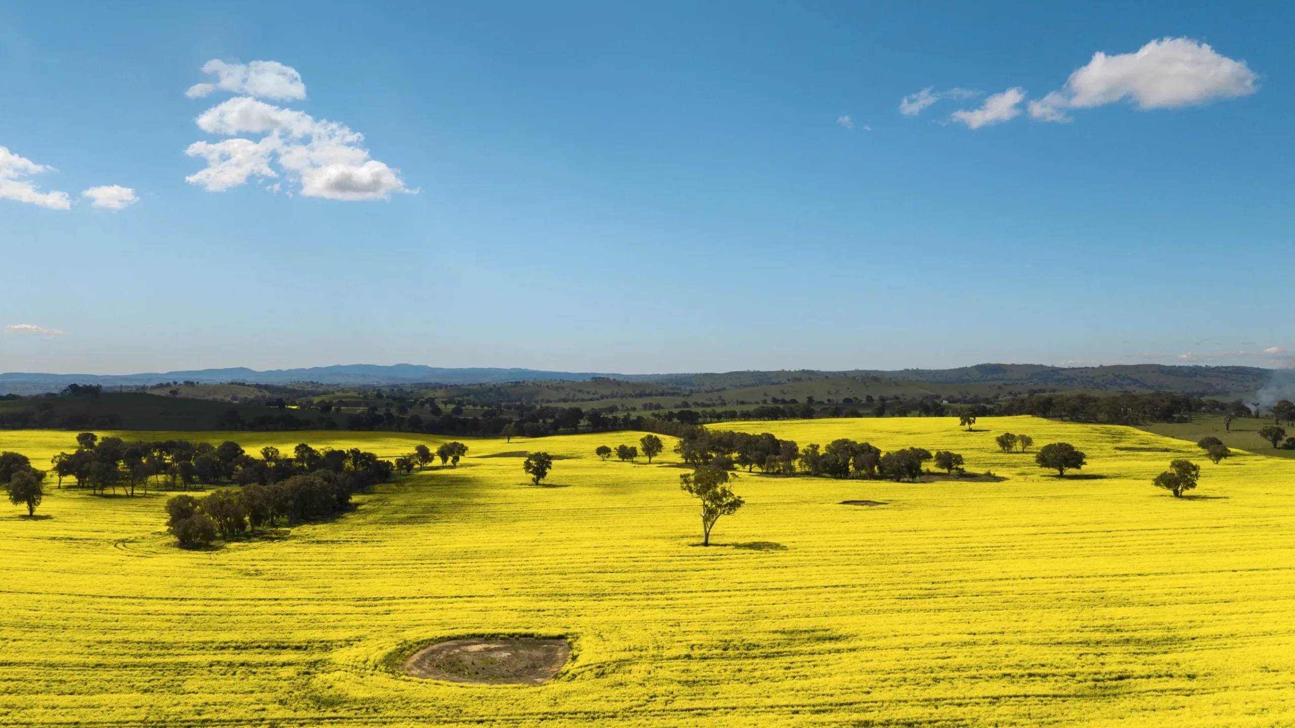 Wellington North Privacy Collection Notice