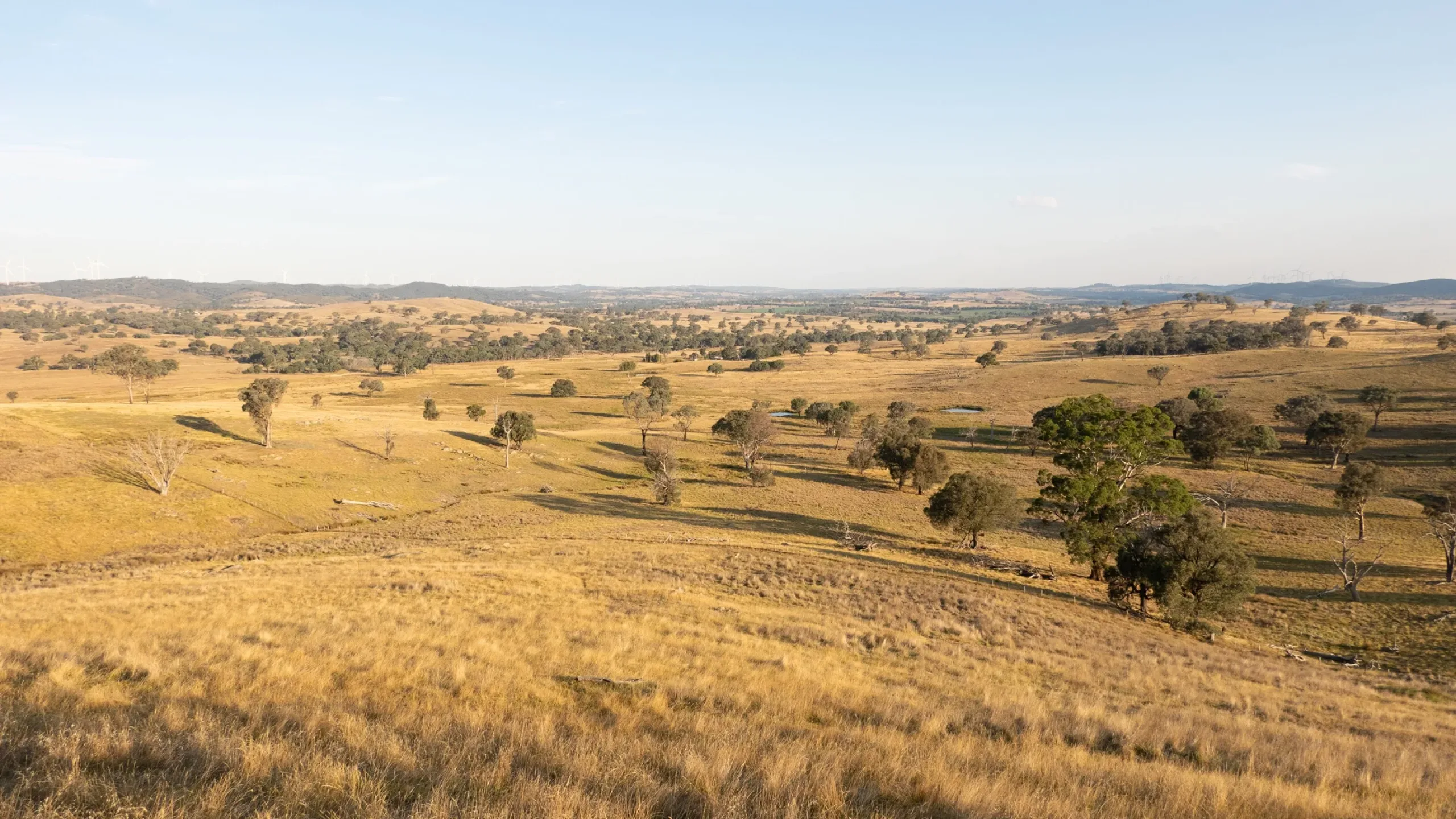 Wellington North Traditional Owners
