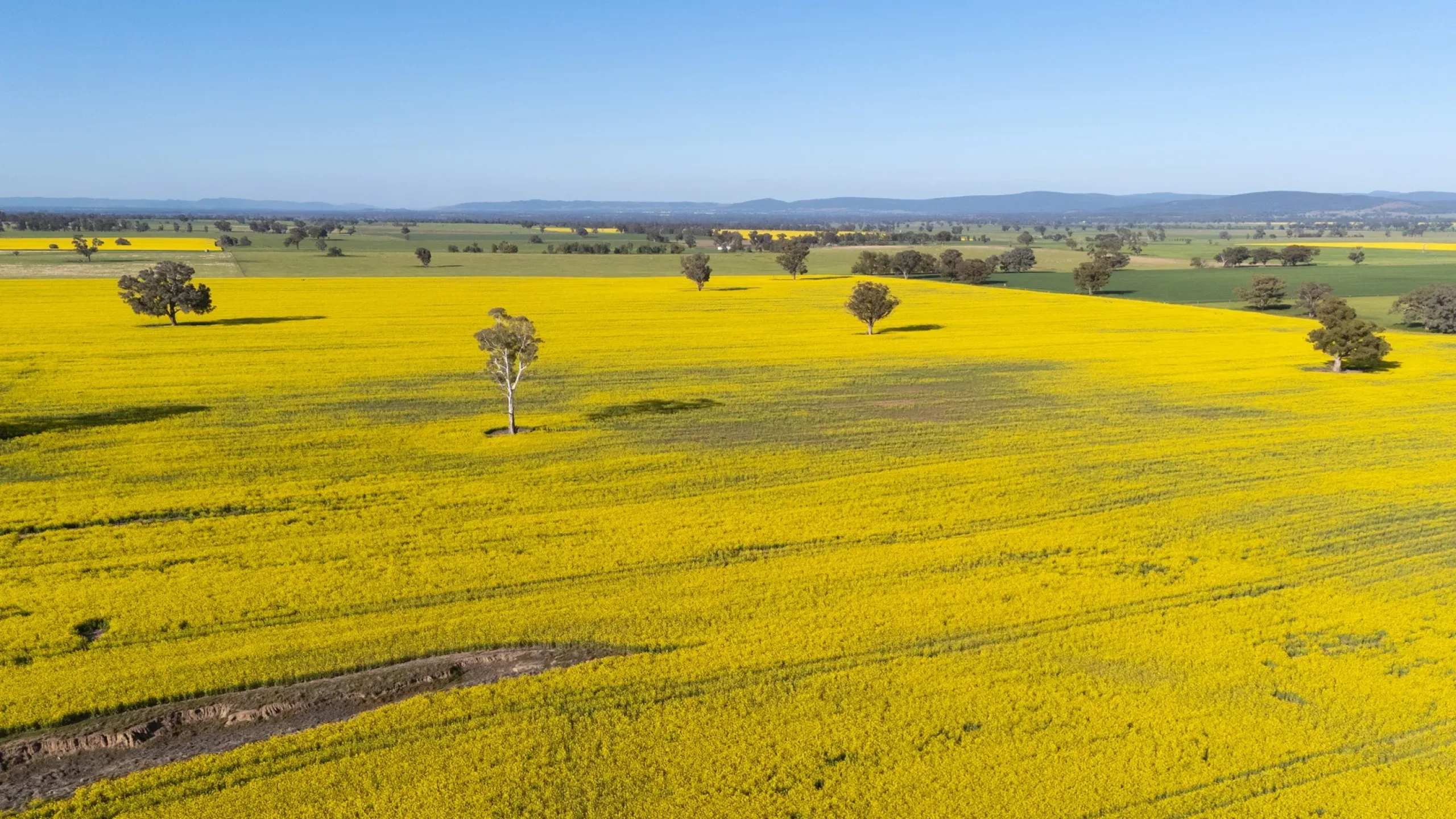 Wellington North Community