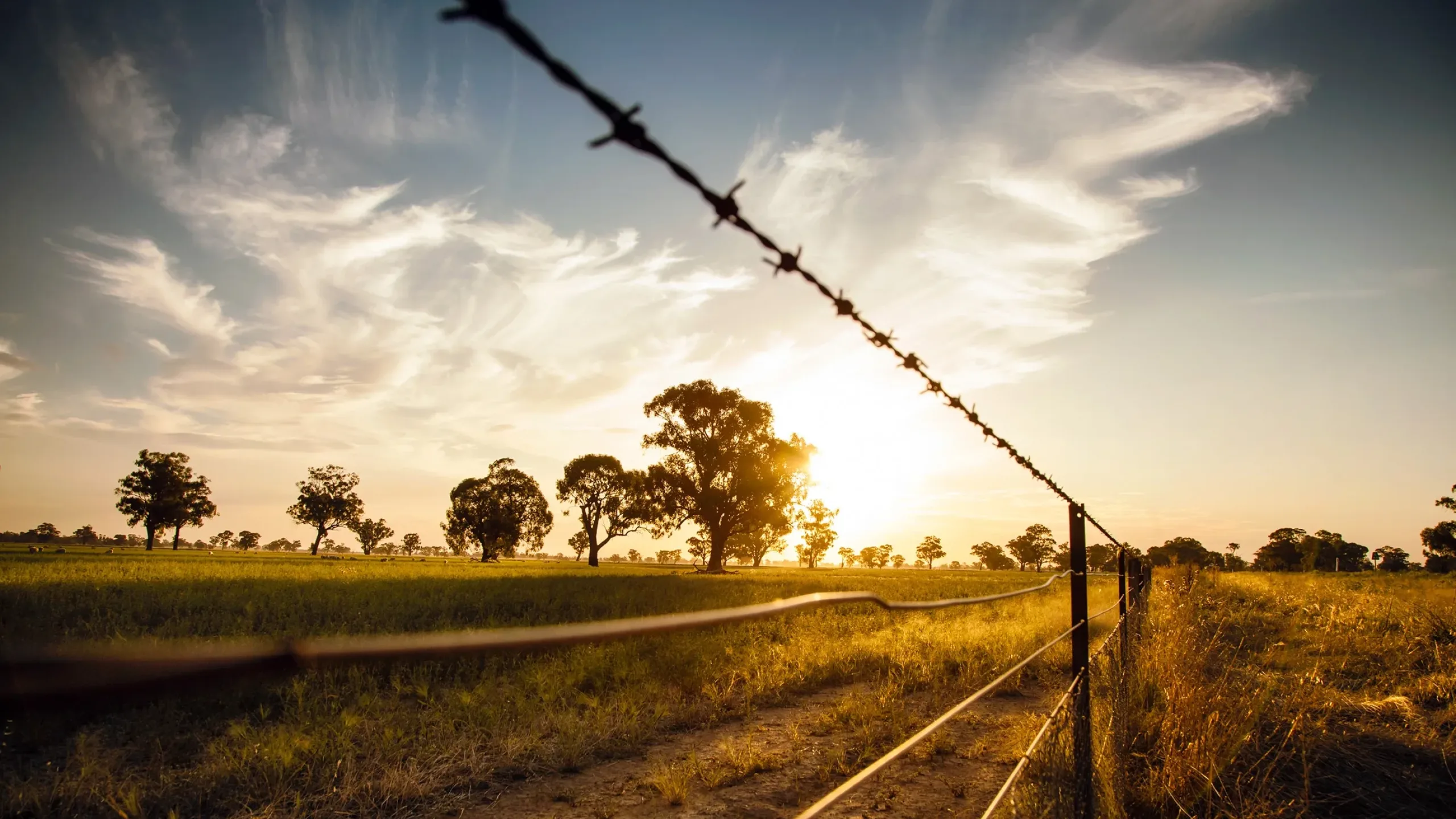 Wellington North Asset Overview