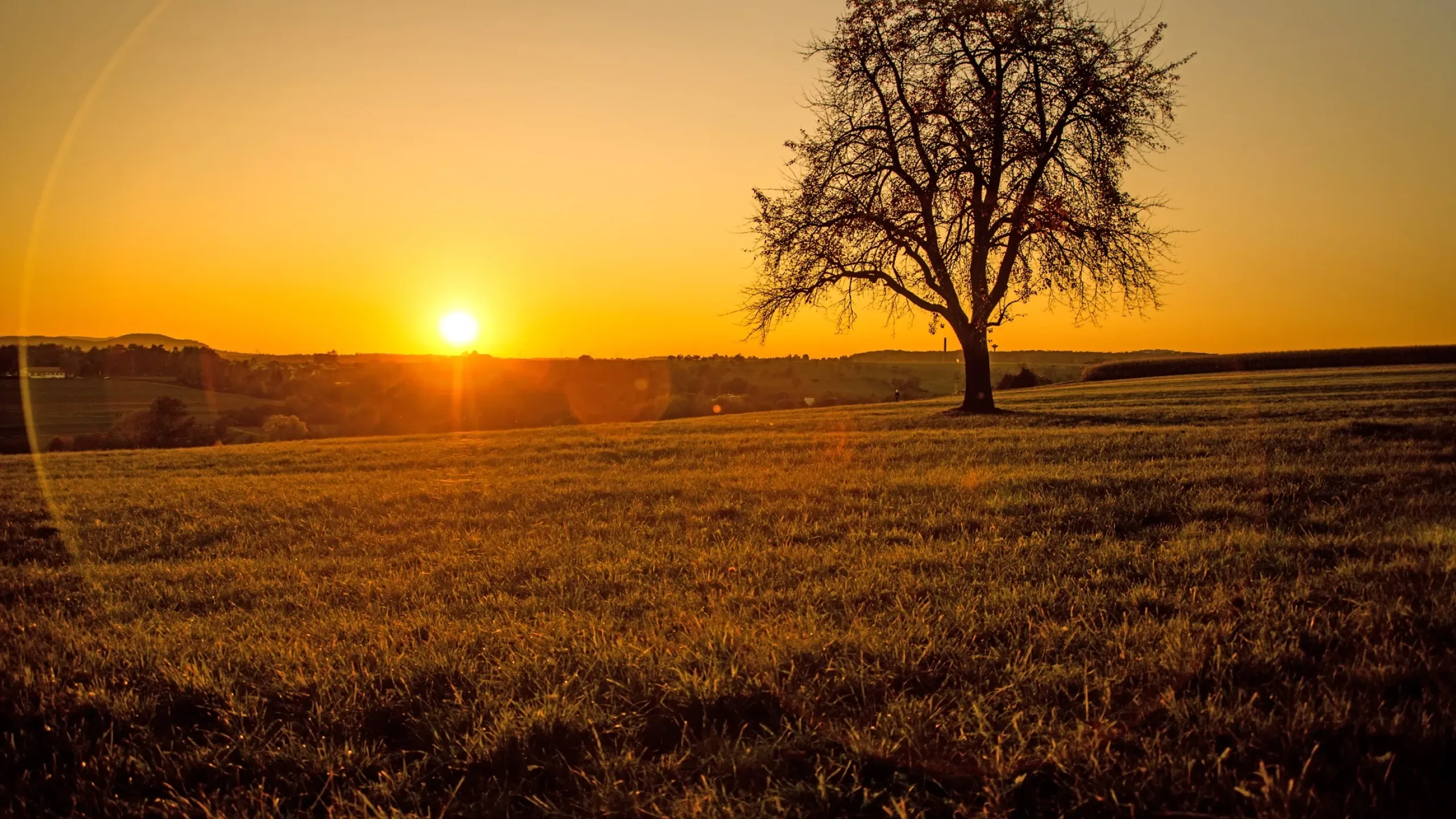 Wellington North Resources