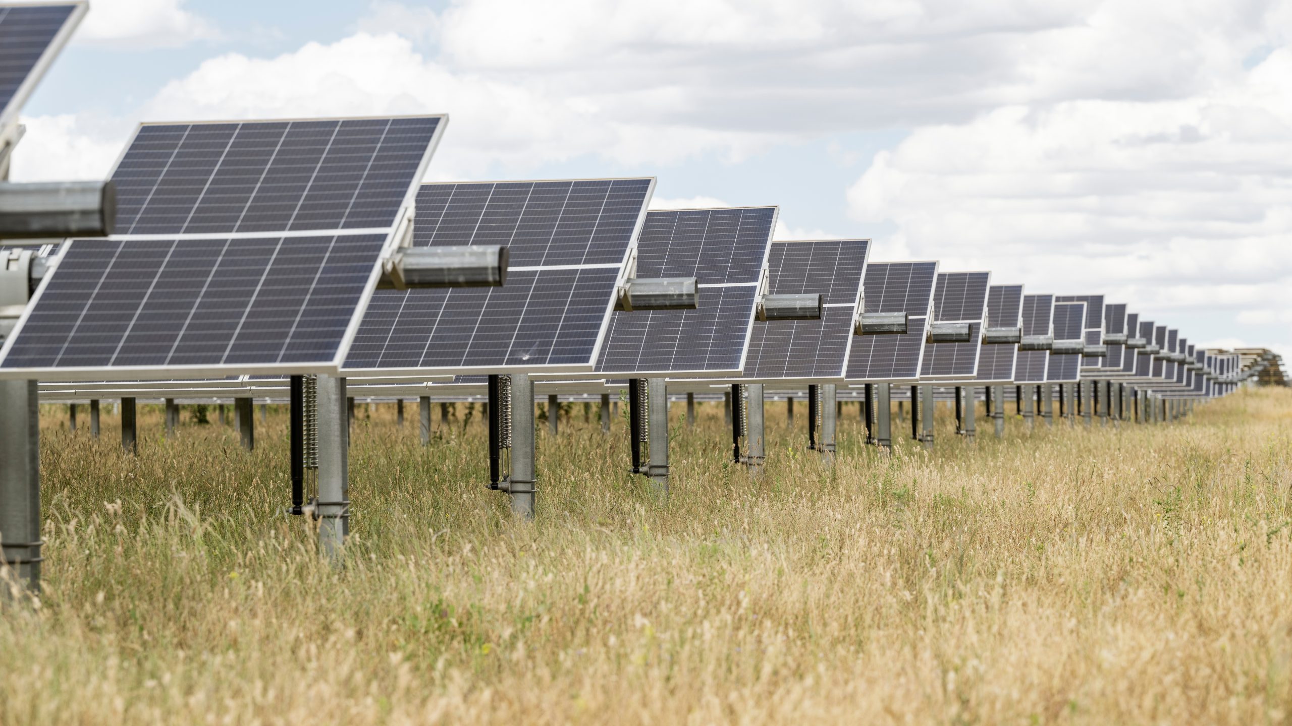 Wellington Privacy Collection Notice