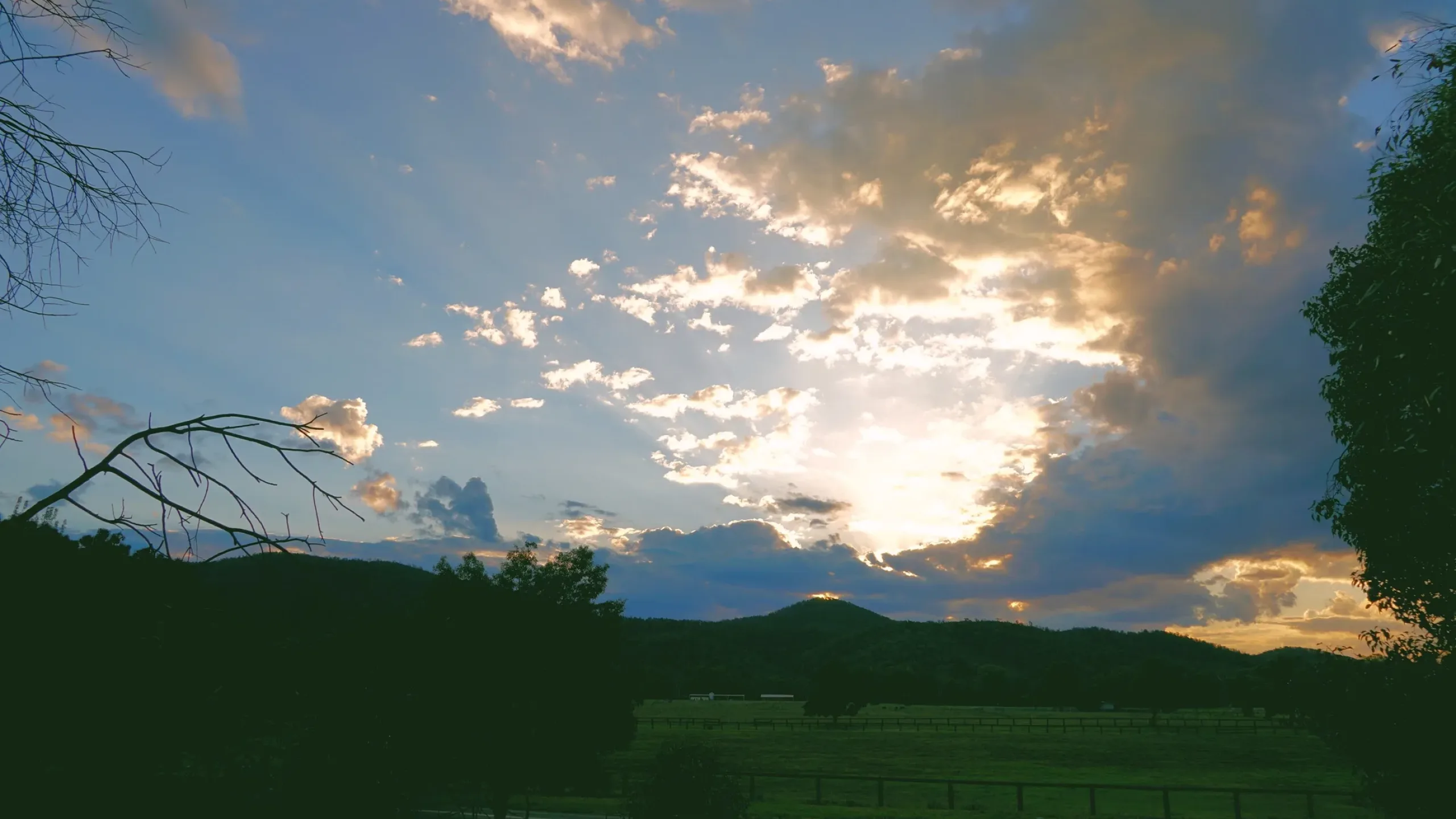 Wellington Privacy Policy