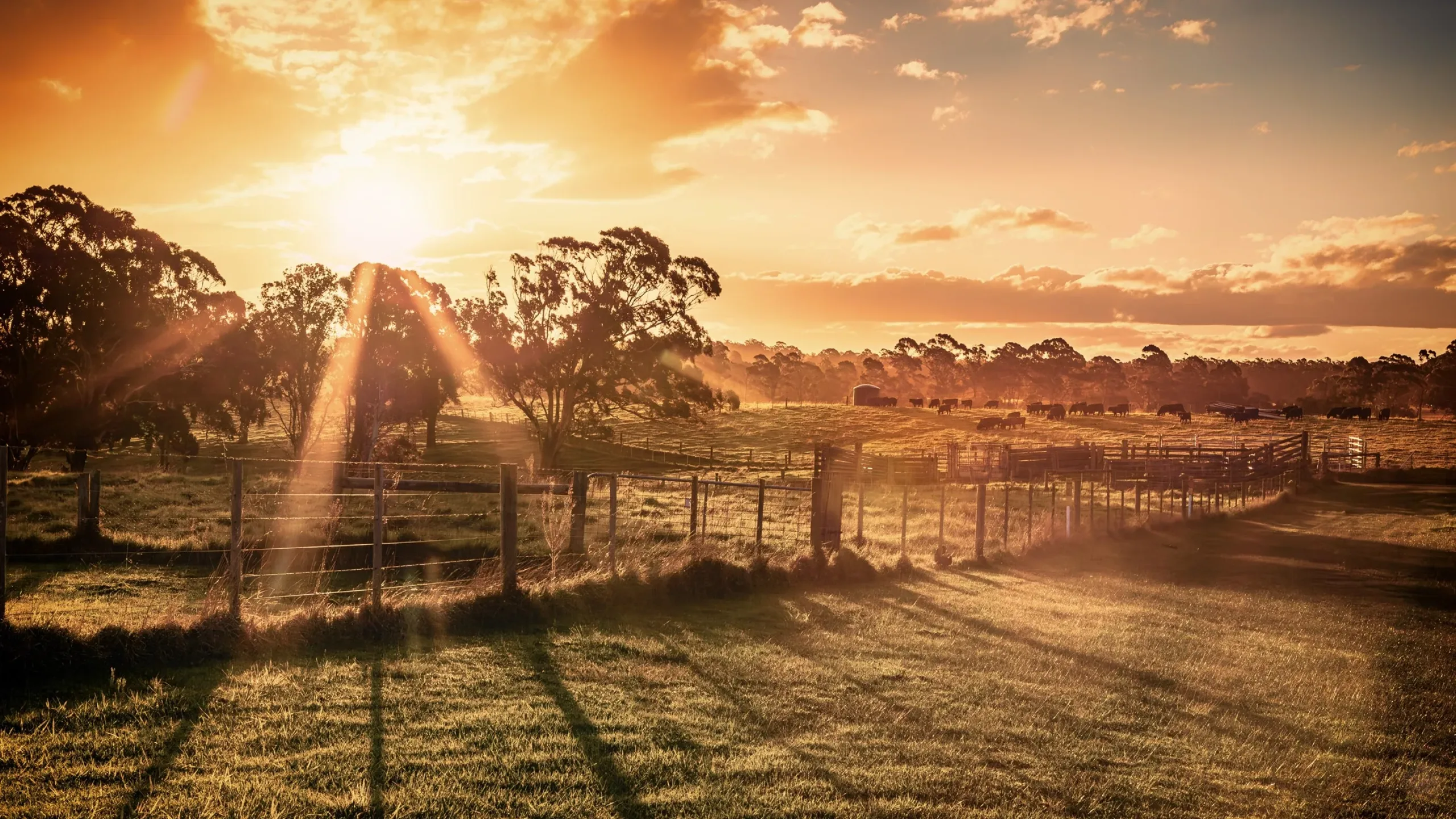 Wellington Asset Overview