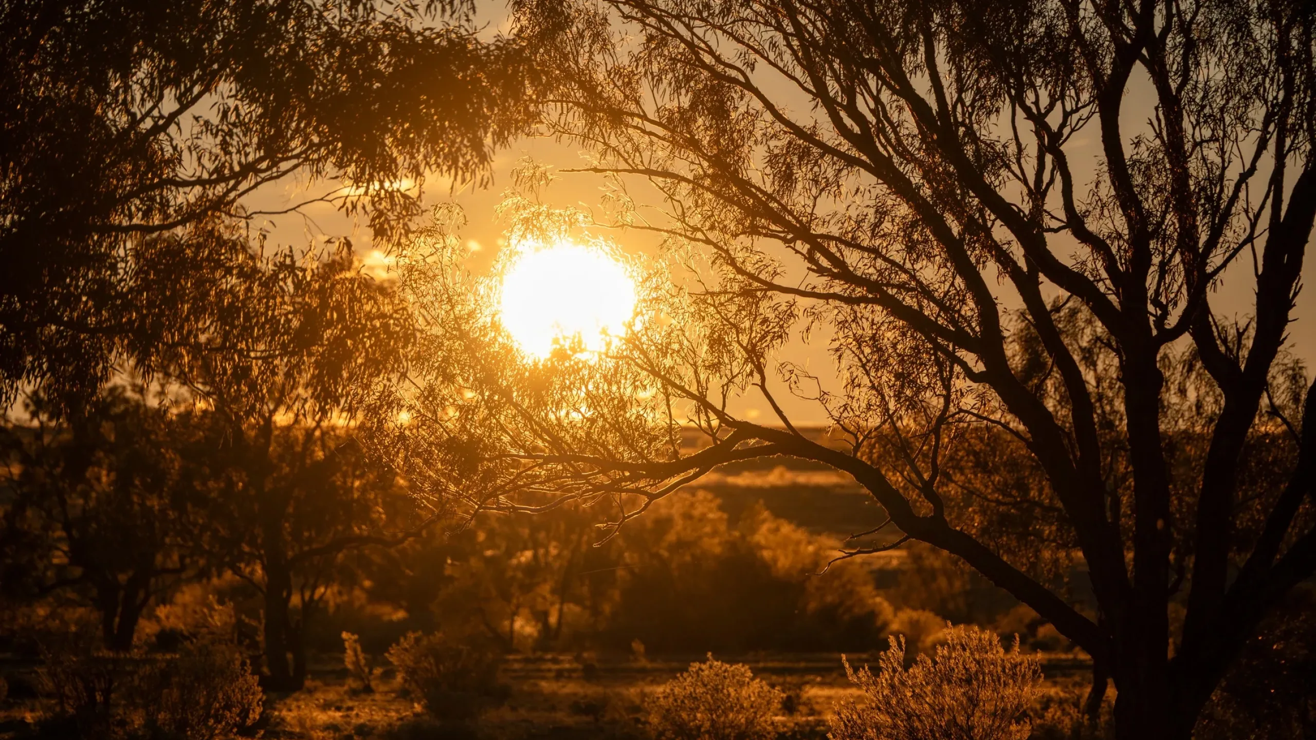 Wellington Traditional Owners