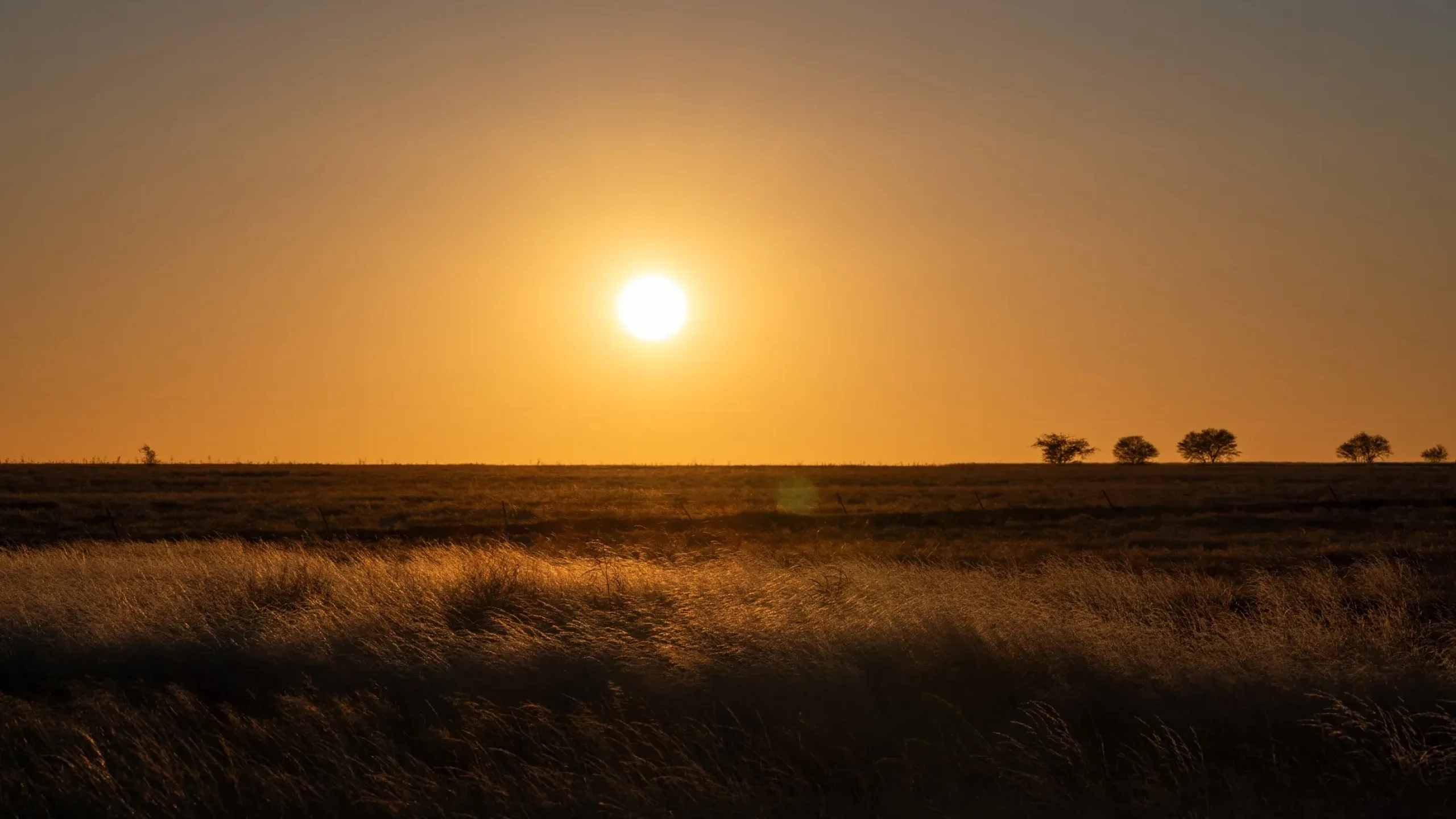 Woolooga Traditional Owners