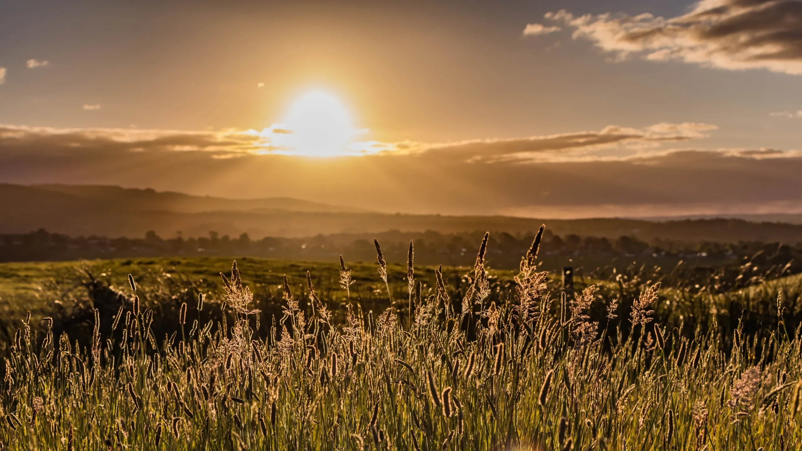 Woolooga Important information