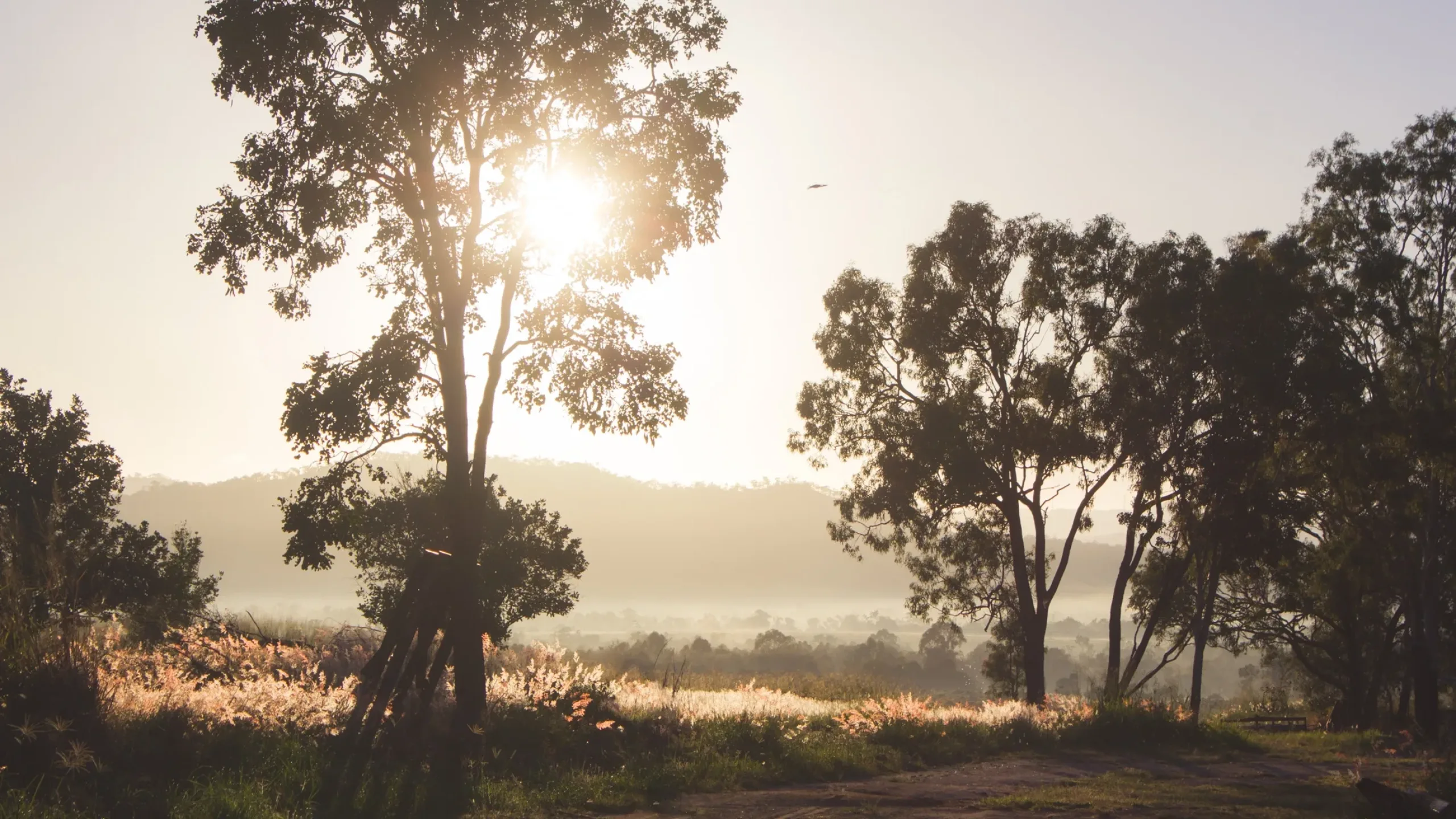 Woolooga Privacy Collection Notice