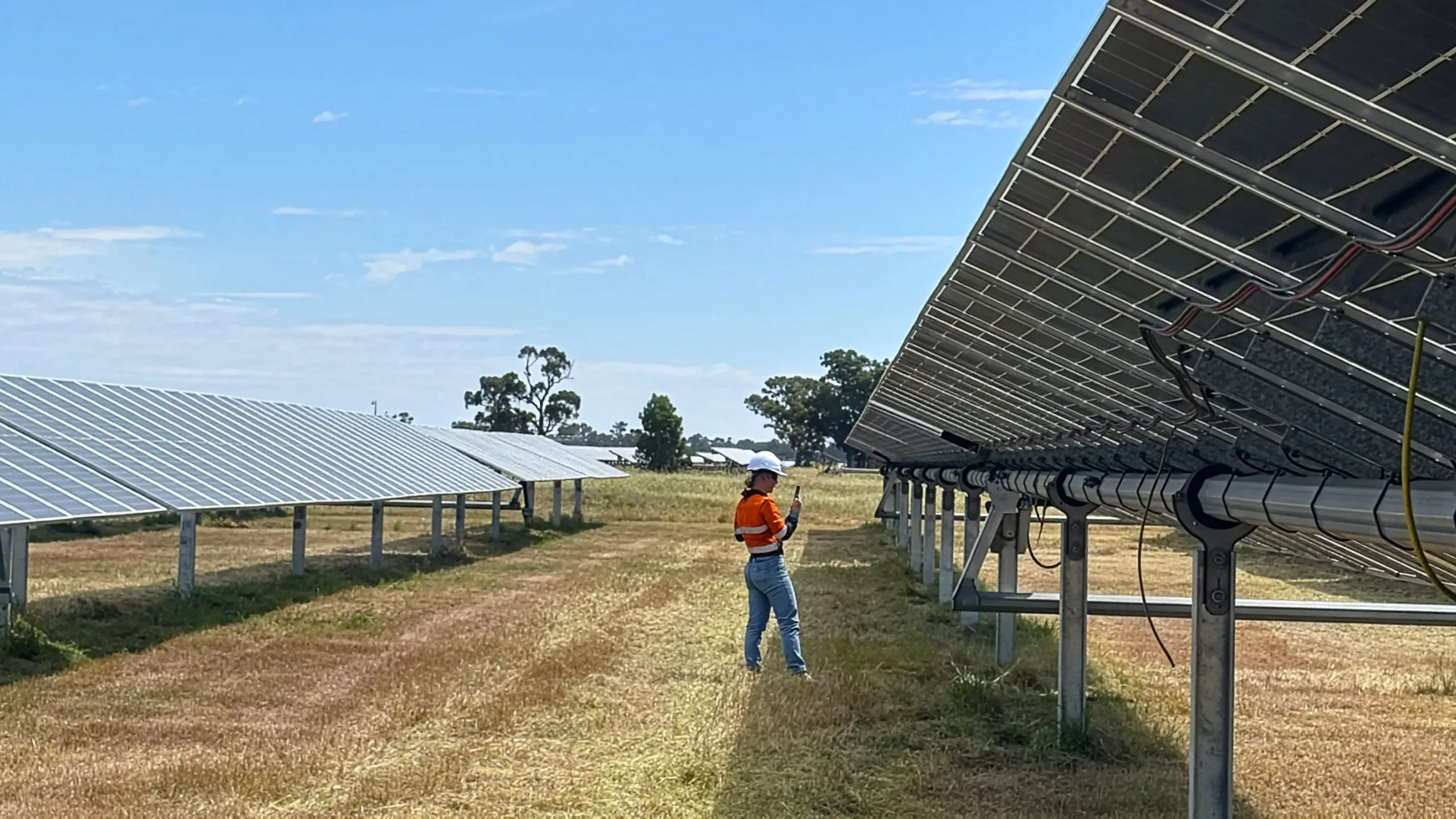Wunghnu Aula Energy Welcomes Wunghnu Solar Farm into our Growing Renewable Portfolio